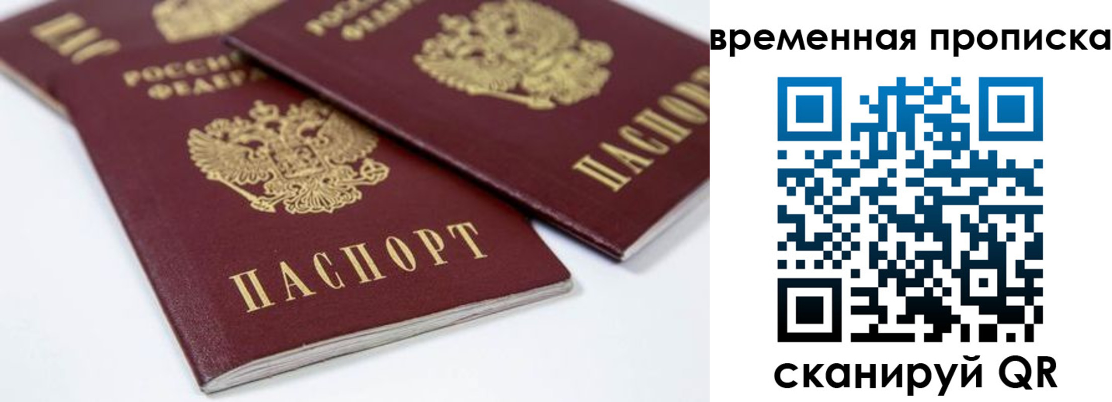 прописка для школы в Салехарде